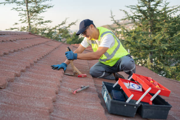 Best Roof Maintenance Services  in Thorndale, TX